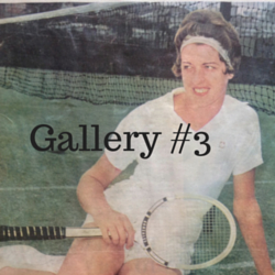 Gallery 3
