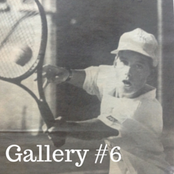 Gallery 6