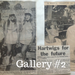 Gallery 2